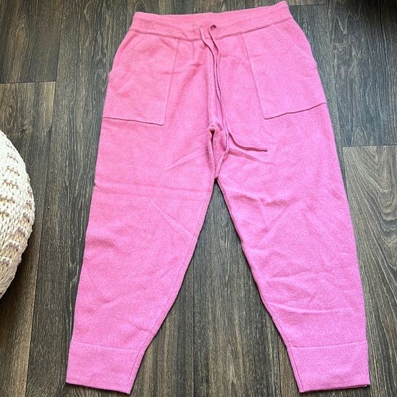 NWT Outerknown Joggers